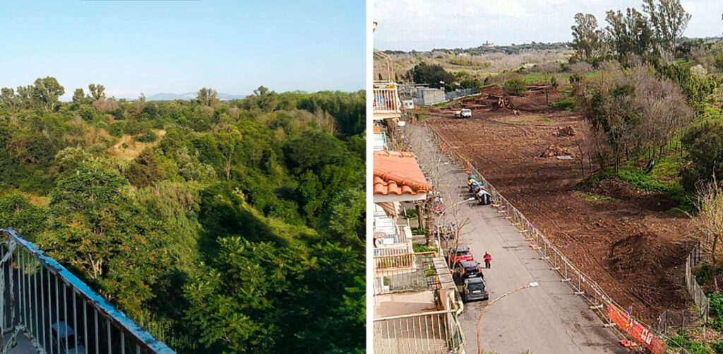 Tor-Marancia-oasi-naturale-Roma-abbattimenti