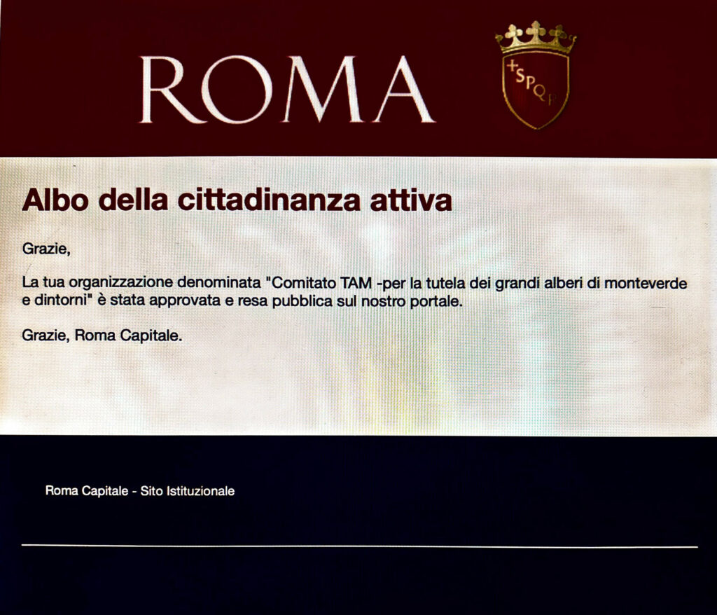 comitato tam roma iscritto a roma capitale