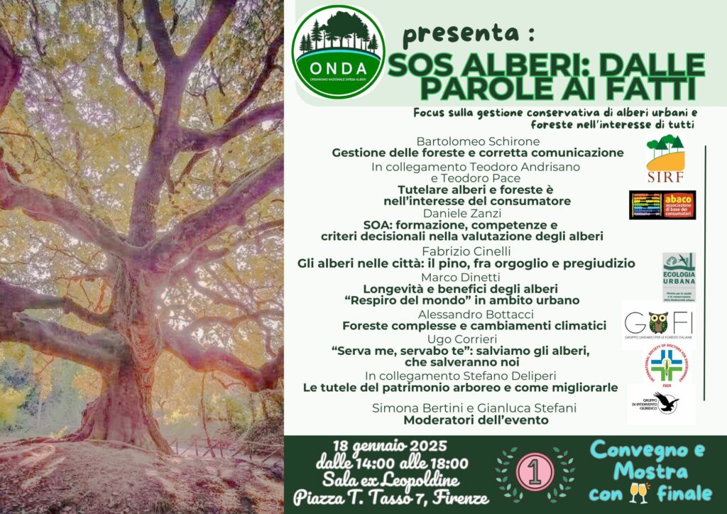 locandina convegno ONDA 18genn2025