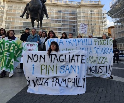 Incontro Campidoglio Alberi comitato TAM